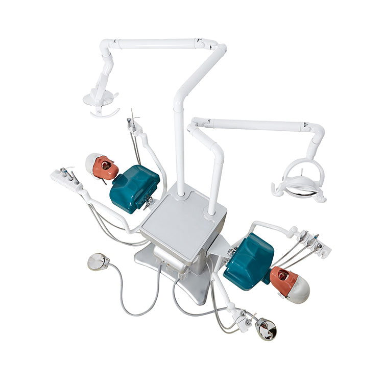 (MANUAL DENTAL SIMULATION FOR 1 STUDENT, IN UPDATING) L-A A13