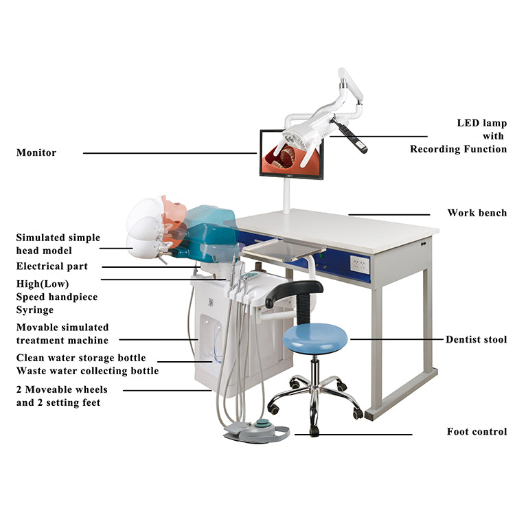 (ELECTRICAL DENTAL SIMULATION FOR 1 TEACHER WITH RECORDING LAMP + Four-Handed Operation) L-A A3