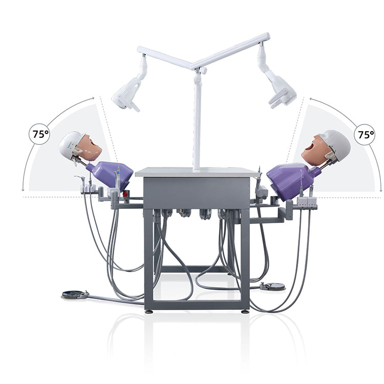 (MANUAL DENTAL SIMULATION FOR 2 STUDENTS + Four-Handed Operation) L-A A4