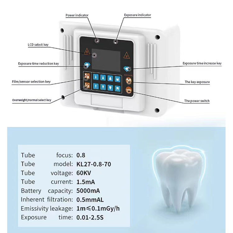 Dental X-RAY 1 (C28)